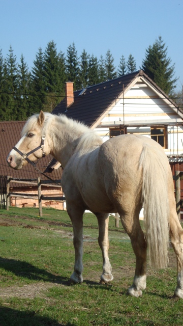 Daruška a Lenník duben 09 016.jpg